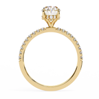 Anastasia Solitaire Ring