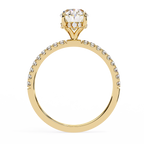 Anastasia Solitaire Ring