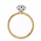 Erin Halo Ring