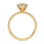 Omega Solitaire Ring